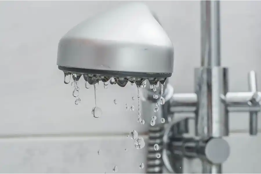 Shower Head Replacement